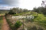 GL 0176 - Kabayianna Land - Fourni - Ermionida